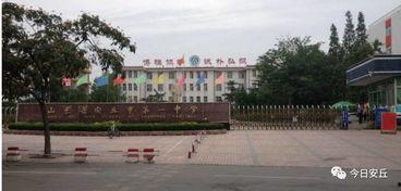 安丘最新爆料事件新闻,事件真相逐步浮出水面