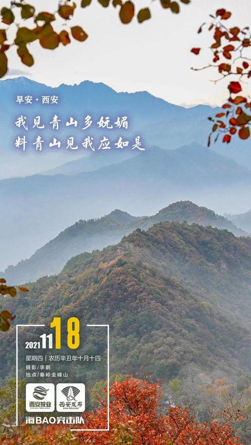 西安早安爆料事件最新,真相揭秘，网络舆论漩涡中的法律与道德边界